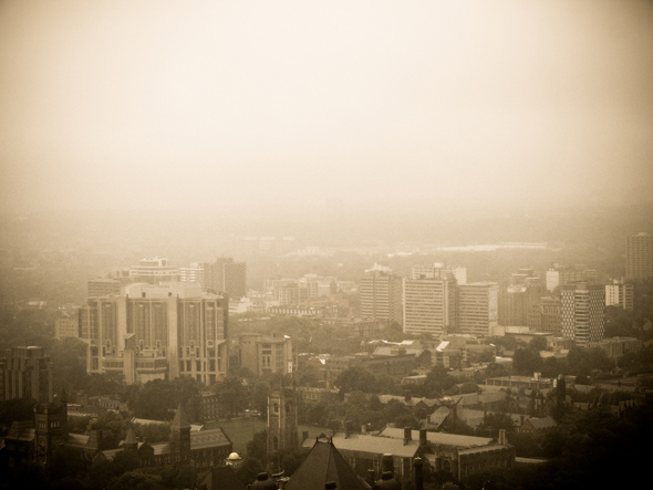 多伦多雾